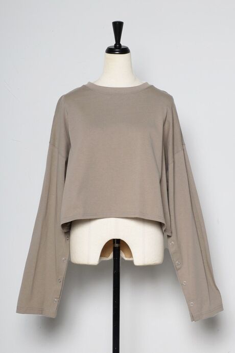 Gray-Beige