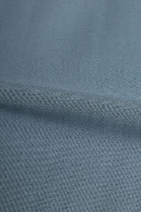 Blue-Gray